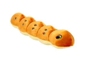 Spicy Caterpillar Toy